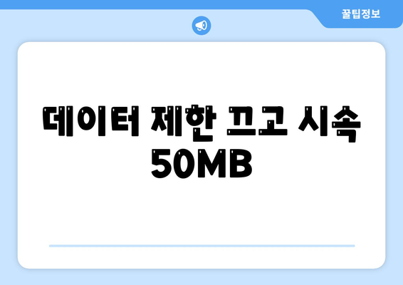 데이터 제한 끄고 시속 50MB