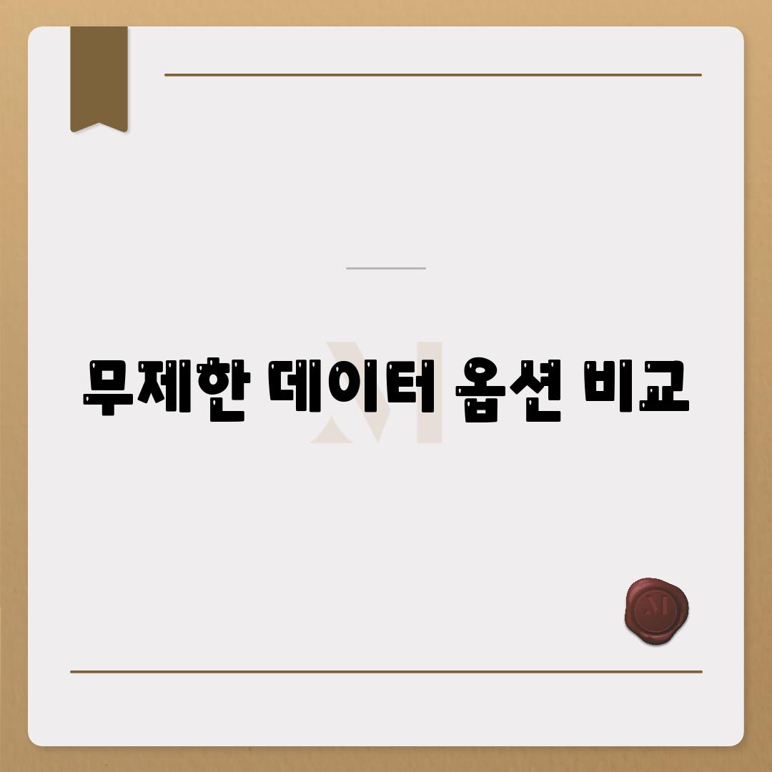 무제한 데이터 옵션 비교