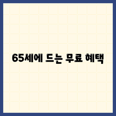 65세에 드는 무료 혜택