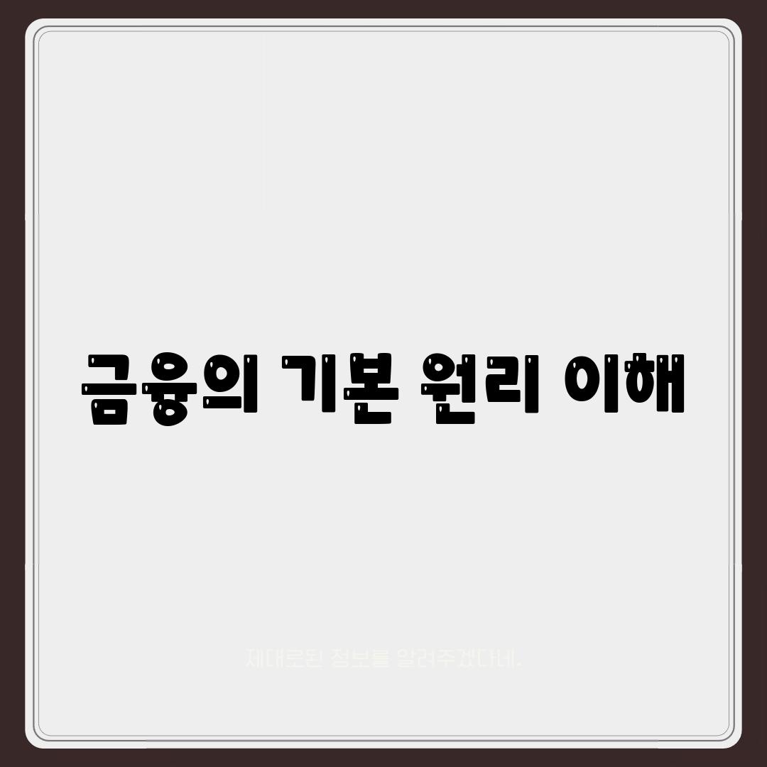 금융의 기본 원리 이해