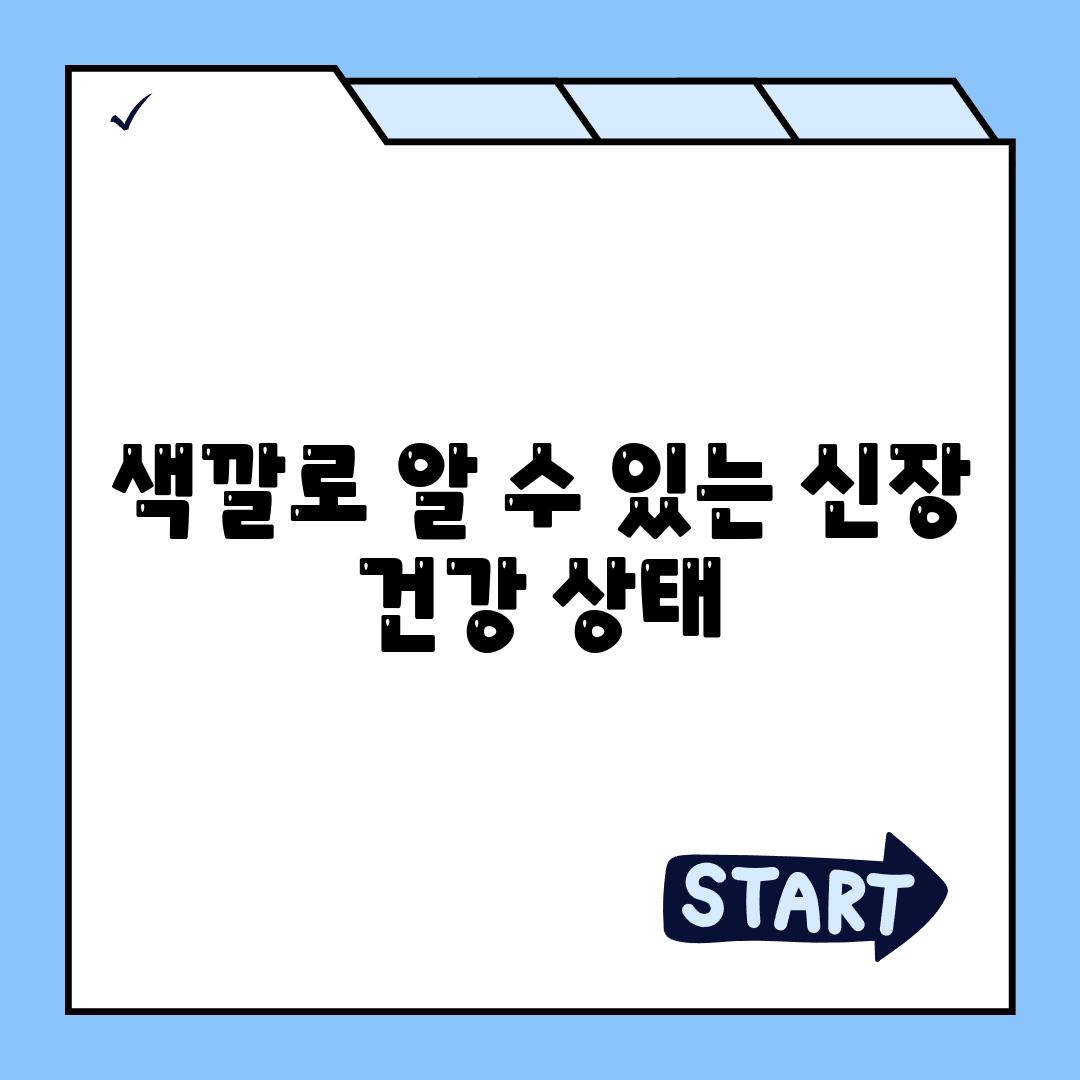 색깔로 알 수 있는 신장 건강 상태