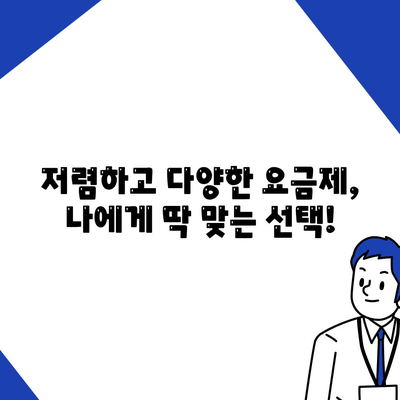 kt알뜰폰 요금제