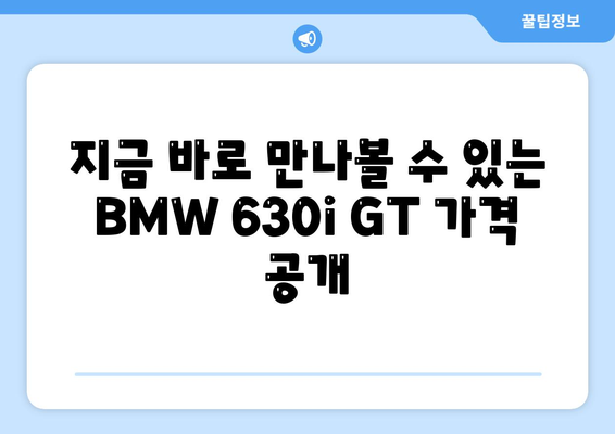 bmw 630i gt, 즉시 출고 가능한 가격