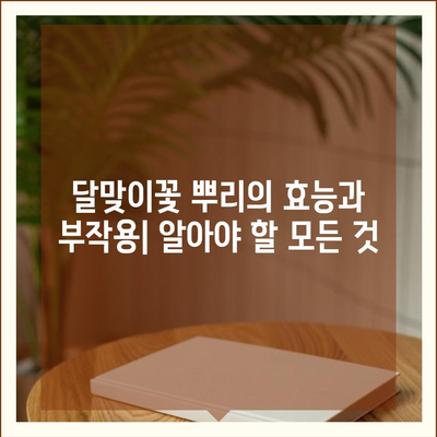 달맞이꽃 뿌리의 놀라운 효능| 건강, 미용, 그리고 당신의 삶 | 달맞이꽃, 뿌리 효능, 건강, 미용, 효과, 부작용