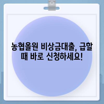 농협올원 비상금대출, 급할 때 빠르게 받는 방법 | 비상금, 대출, 농협, 올원, 신청, 조건