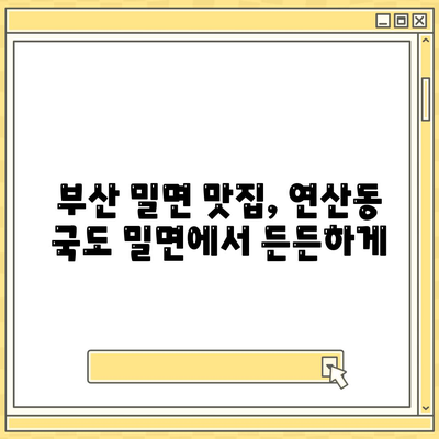 연산동 국도 밀면, 부산 최저가 밀면집