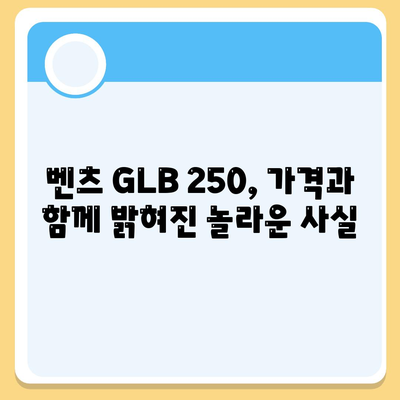 벤츠 GLB 250, 가격 비밀 공개