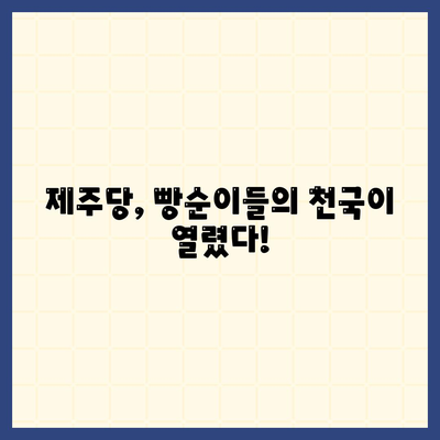 제주당 베이커리 카페, 거대한 공간과 저렴한 메뉴에서 행복 찾기