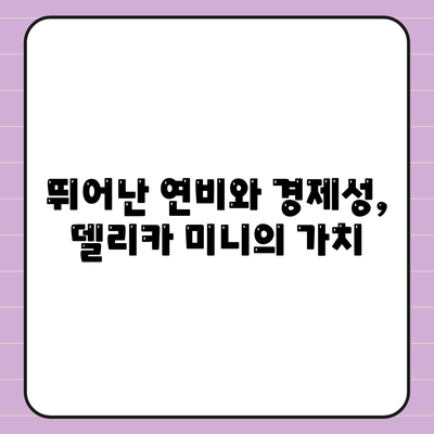 가격 대비 최고! 일본 경차 미쯔비시 델리카 미니