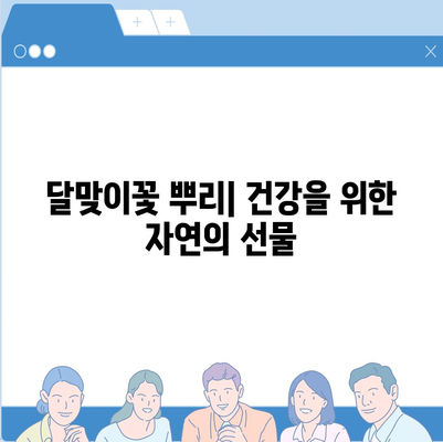 달맞이꽃 뿌리의 놀라운 효능| 건강, 미용, 그리고 당신의 삶 | 달맞이꽃, 뿌리 효능, 건강, 미용, 효과, 부작용