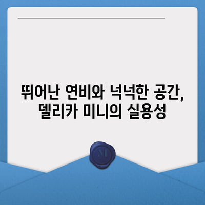 미쯔비시 델리카 미니, 경제적인 경차의 가격과 사양