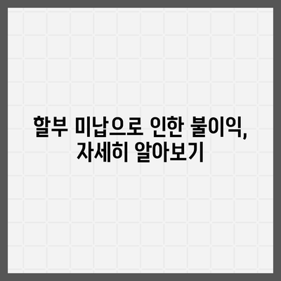 아이폰16 할부 미납 시 발생하는 결과