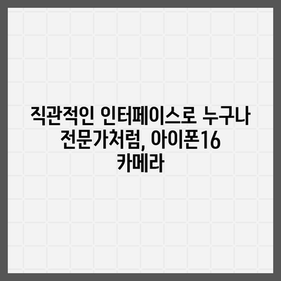 아이폰16 후면 카메라, 혁신적인 기술로 스마트하고 직관적인 사진 촬영 경험