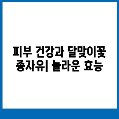 달맞이꽃 종자유 캡슐 완벽 가이드| 효능, 부작용, 복용 방법 총정리 | 건강, 영양제, 오메가-6, 여성 건강