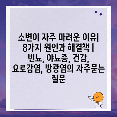 소변이 자주 마려운 이유| 8가지 원인과 해결책 | 빈뇨, 야뇨증, 건강, 요로감염, 방광염