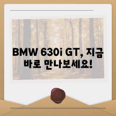 BMW 630i GT, 즉시 출고 가능한 가격 확인