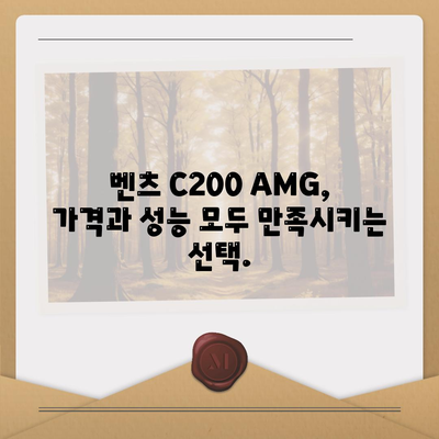 만족스런 가격과 함께 벤츠 C200 AMG를 소개합니다