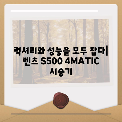 벤츠 S500 4MATIC, 만족스러운 가격으로 고급스러움 누리기