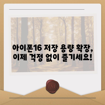 아이폰16 호환 외장형 하드 드라이브 | 저장 용량 확장