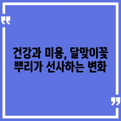 달맞이꽃 뿌리의 놀라운 효능| 건강, 미용, 그리고 당신의 삶 | 달맞이꽃, 뿌리 효능, 건강, 미용, 효과, 부작용