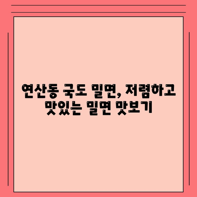 연산동 국도 밀면, 부산 최저가 밀면집