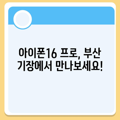 부산시 기장군 장안읍 아이폰16 프로 사전예약 | 출시일 | 가격 | PRO | SE1 | 디자인 | 프로맥스 | 색상 | 미니 | 개통