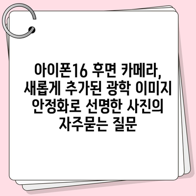 아이폰16 후면 카메라, 새롭게 추가된 광학 이미지 안정화로 선명한 사진