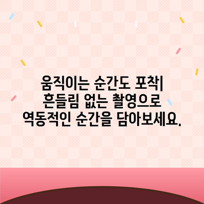 아이폰16 후면 카메라, 새롭게 추가된 광학 이미지 안정화로 선명한 사진