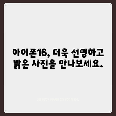 아이폰16 후면 카메라, 센서 업그레이드로 탁월한 품질