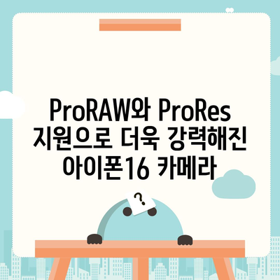 아이폰16 후면 카메라, ProRAW 및 ProRes 지원으로 전문 사진가를 위한 성능