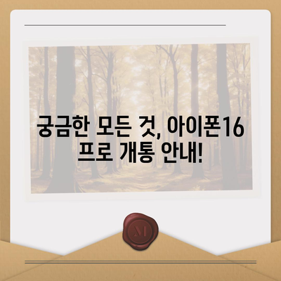 강원도 원주시 신림면 아이폰16 프로 사전예약 | 출시일 | 가격 | PRO | SE1 | 디자인 | 프로맥스 | 색상 | 미니 | 개통