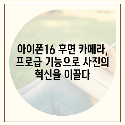 아이폰16 후면 카메라, ProRAW 및 ProRes 지원으로 전문 사진가를 위한 성능