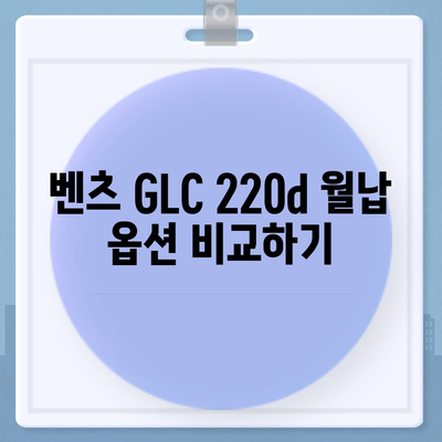 초기 비용 없는 벤츠 GLC 220d 월납 계산