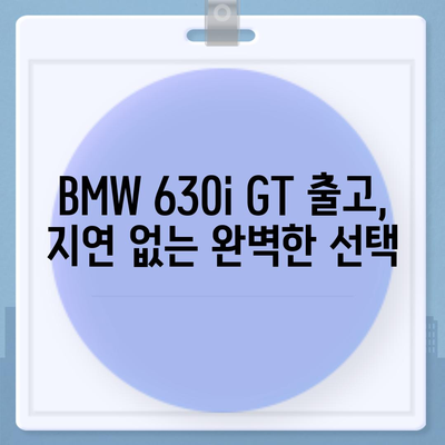 신속하고 지체 없는 가격으로 BMW 630i GT 출고