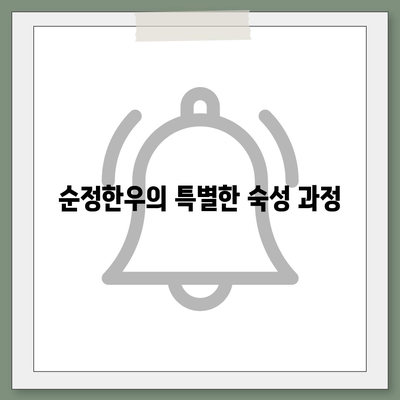 교대역 순정한우정육식당의 저렴한 한우