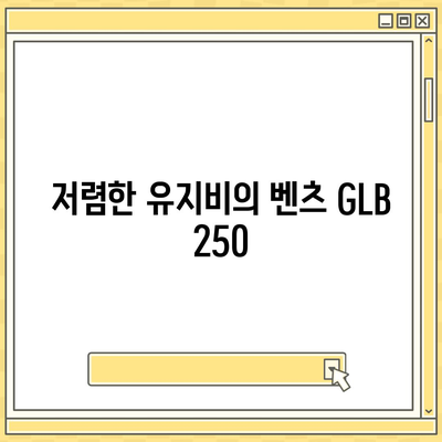 알면 놀랄 벤츠 GLB 250의 저렴한 가격