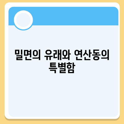 연산동 밀면 집, 부산 최저 가격의 밀면집