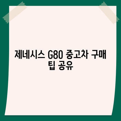 제네시스 G80, 싸게 구매하세요!