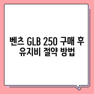 최적의 가격에 벤츠 GLB 250 구매