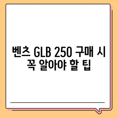 최적의 가격에 벤츠 GLB 250 구매