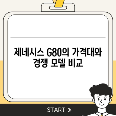 가성비의 화신! 제네시스 G80