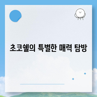 요아정 꿀조합 요거트 아이스크림 메뉴와 가격, 초코쉘의 매력