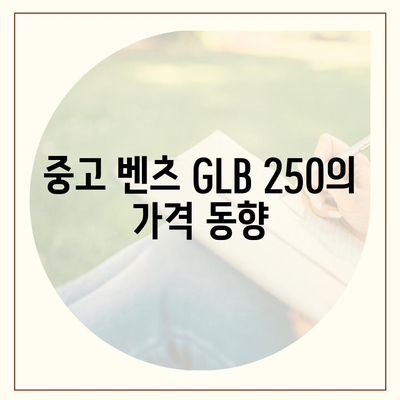 벤츠 GLB 250의 최적 조건 가격 안내