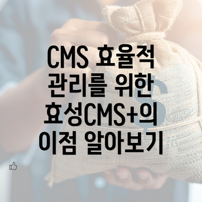 CMS 효율적 관리를 위한 효성CMS+의 이점 알아보기