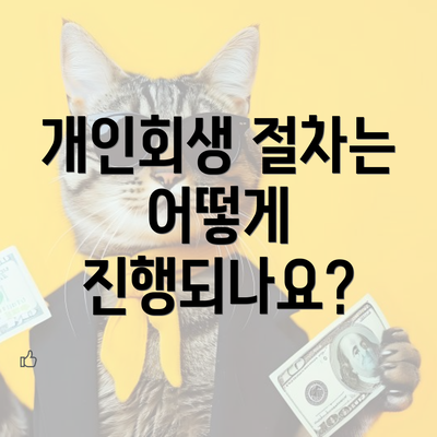 개인회생 절차는 어떻게 진행되나요?