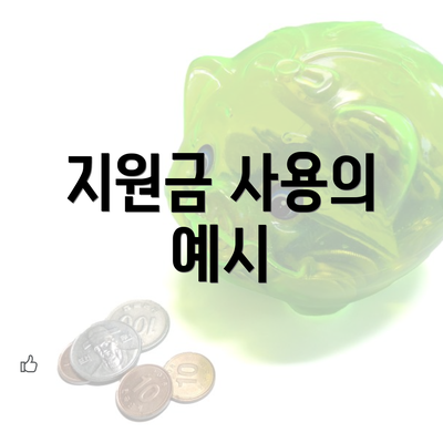 지원금 사용의 예시