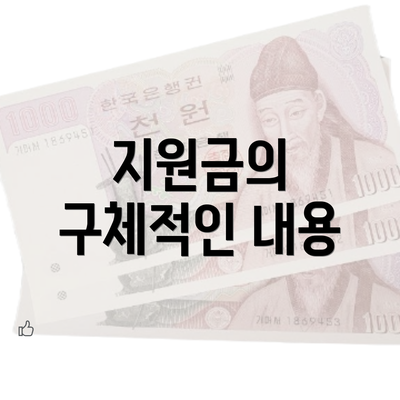 지원금의 구체적인 내용