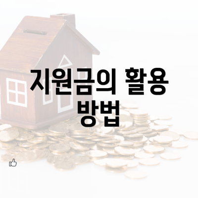 지원금의 활용 방법