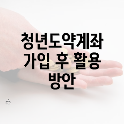 청년도약계좌 가입 후 활용 방안