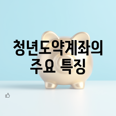 청년도약계좌의 주요 특징